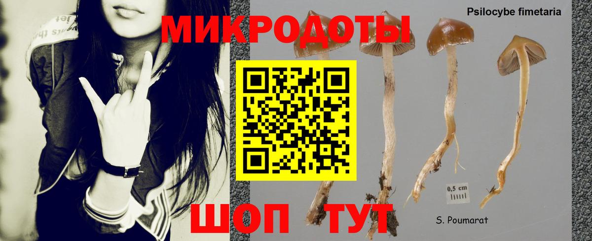 Алексин  Галлюциногенные грибы ЛСД  Вход с VPN  Псилоцибиновые грибы Cubensis 