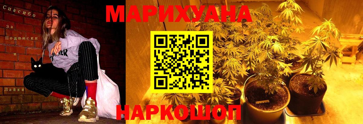 Каннабис сатива Алексин